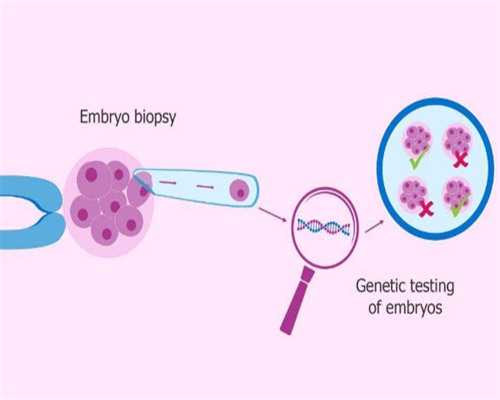 邵阳借卵试管助孕机构排名，2026地方试管婴儿医院成功率排名参考！,供卵试管微信
